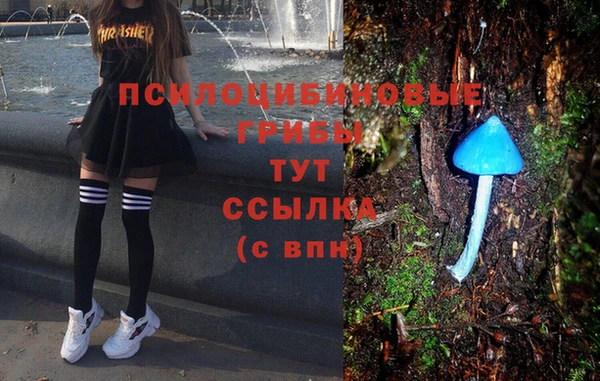 не бодяженный Абаза