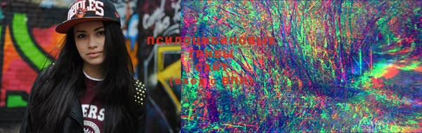 MDMA Алзамай